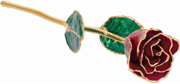 61-9051 Lacquered Garnet Colored Rose with Gold Trim