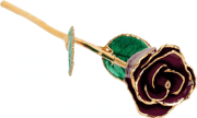 61-9047 Lacquered Burgundy Rose with Gold Trim