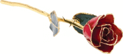 61-9141 Lacquered Red Rose with Gold Trim