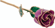 61-9053 Lacquered Amethyst Colored Rose with Gold Trim