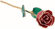 61-9088 Lacquered Rudy Colored Rose with Gold Trim